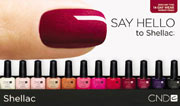  Shellac      