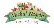    Michal Negrin