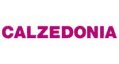   Calzedonia
