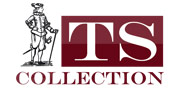  TSCollection